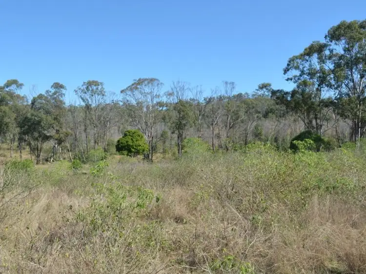 Main view of Homely rural property listing, LOT 1, 956 Mount Larcom Bracewell Road, Machine Creek QLD 4695