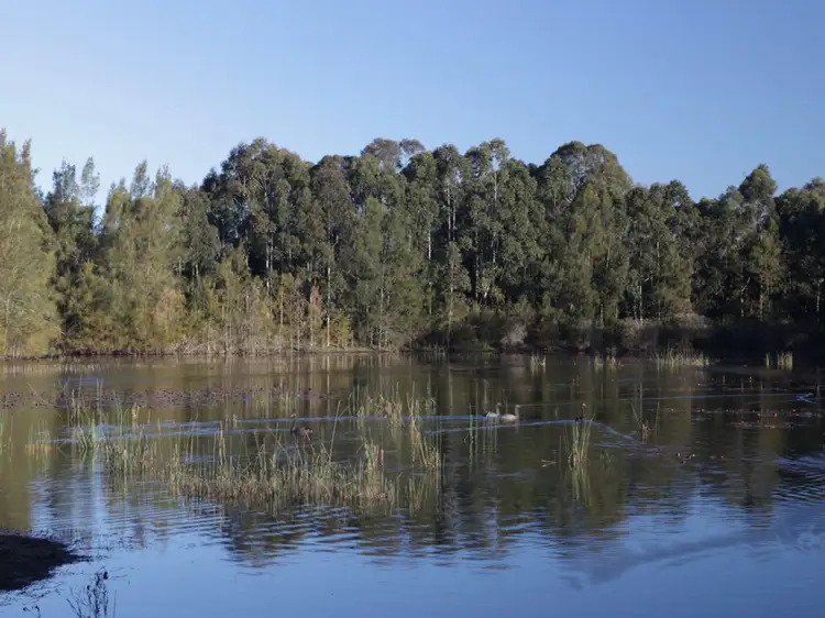 Third view of Homely rural property listing, 51 Millfield Road, Paxton NSW 2325
