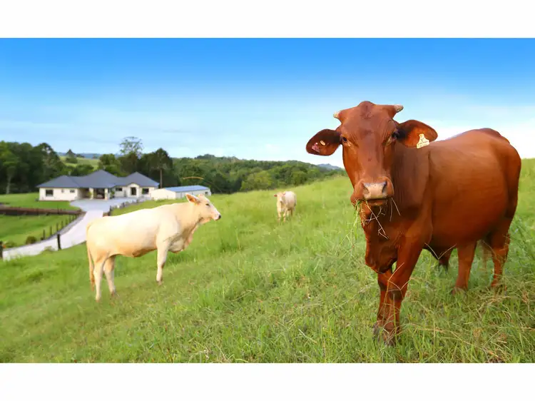 129 Murer Drive, North Maleny QLD 4552