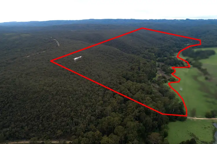 Main view of Homely rural property listing, 265 Sand Pit Road, Carlisle River VIC 3239