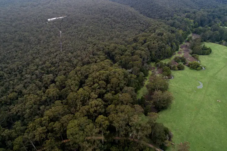 Second view of Homely rural property listing, 265 Sand Pit Road, Carlisle River VIC 3239