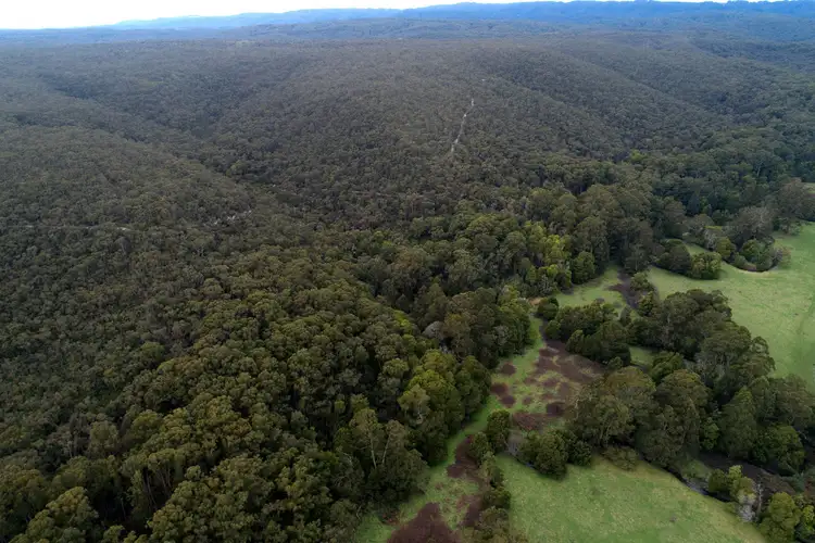Fifth view of Homely rural property listing, 265 Sand Pit Road, Carlisle River VIC 3239