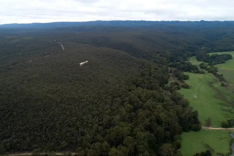 Sixth view of Homely rural property listing, 265 Sand Pit Road, Carlisle River VIC 3239