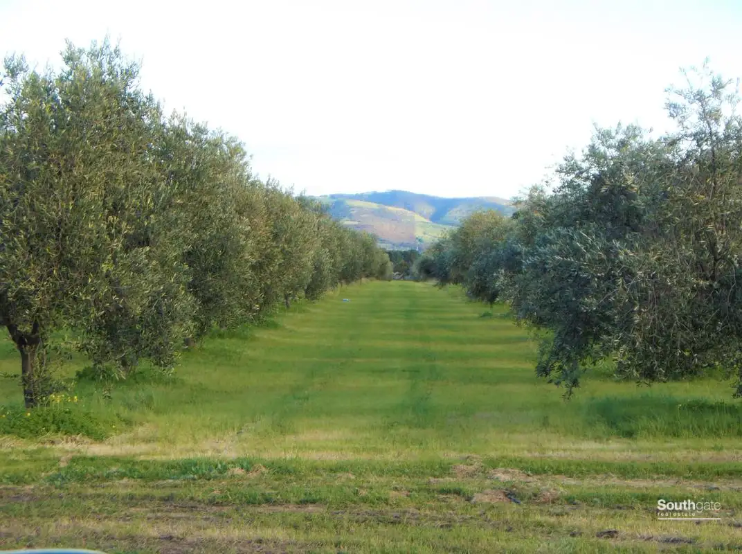 Main view of Homely rural property listing, 2979 Main South Road, Tatachilla SA 5171