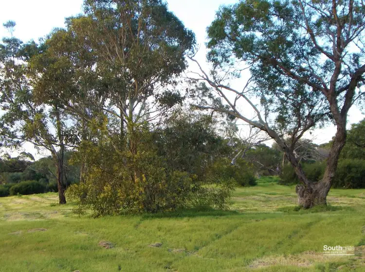 Fourth view of Homely rural property listing, 2979 Main South Road, Tatachilla SA 5171