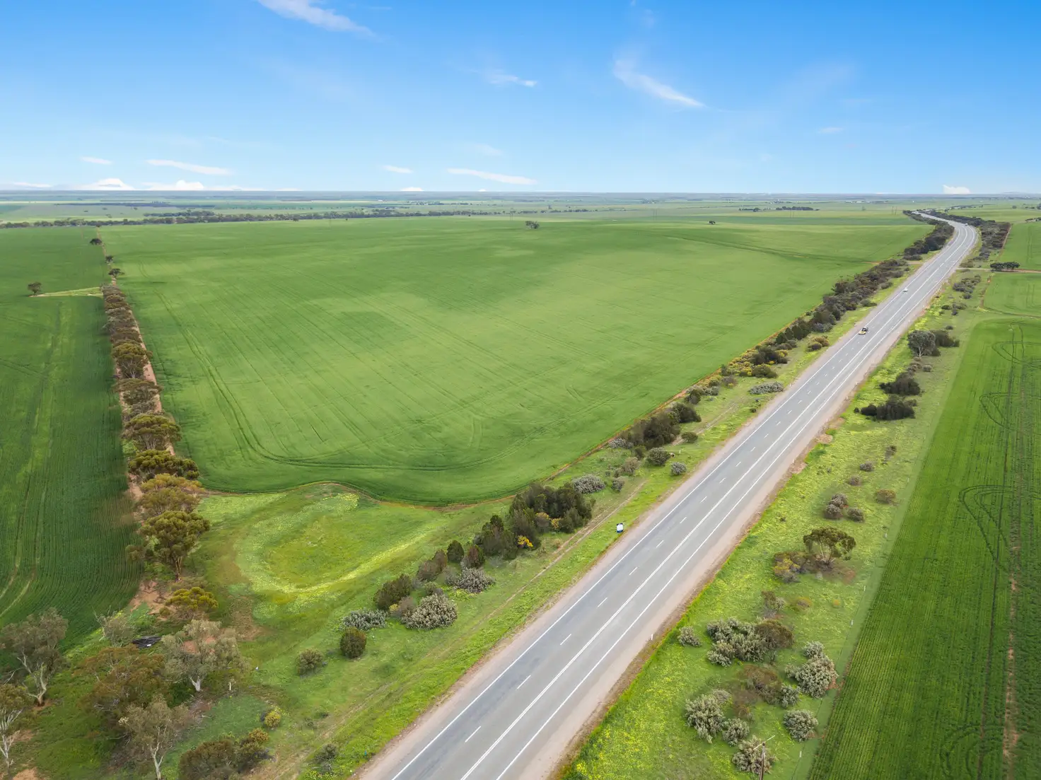 Main view of Homely rural property listing, Address available on request