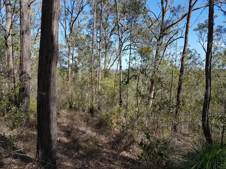 Seventh view of Homely rural property listing, 204 Coaldale Road, The Pinnacles NSW 2460