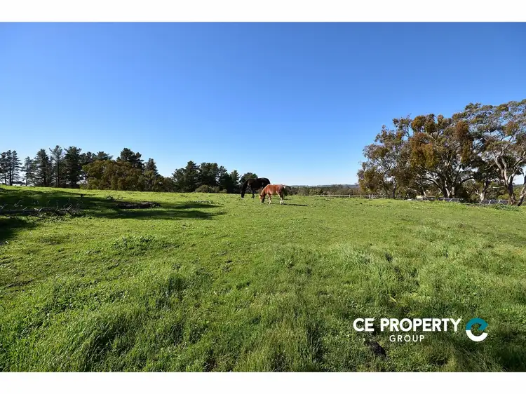 Fourth view of Homely rural property listing, LOT 10 Millington Road, Williamstown SA 5351