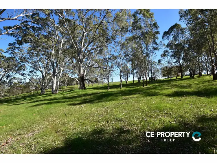 Fifth view of Homely rural property listing, LOT 10 Millington Road, Williamstown SA 5351