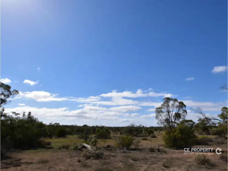 Second view of Homely rural property listing, 148 Reach Road, Swan Reach SA 5354