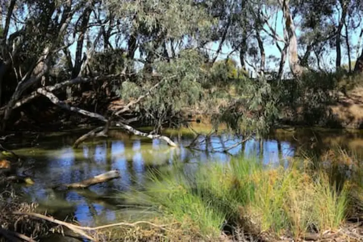 Fourth view of Homely house listing, 14 Rundle Street, Kerang VIC 3579