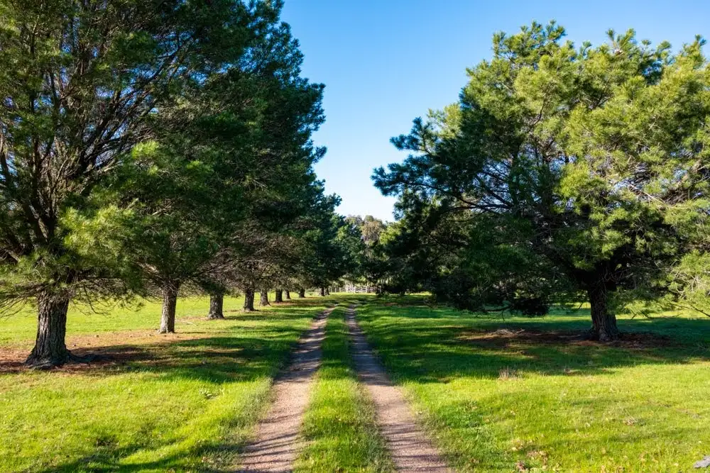 Main view of Homely house listing, 125 Young's Lane, Tooborac VIC 3522