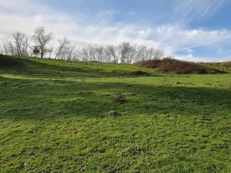 Fifth view of Homely rural property listing, 452 Lavers Hill - Cobden Road, Jancourt VIC 3266