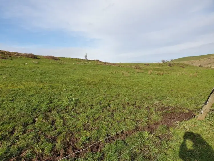 Sixth view of Homely rural property listing, 452 Lavers Hill - Cobden Road, Jancourt VIC 3266