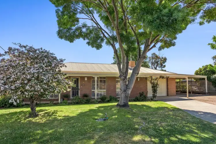 29-31 Carolanne Drive, Drysdale VIC 3222