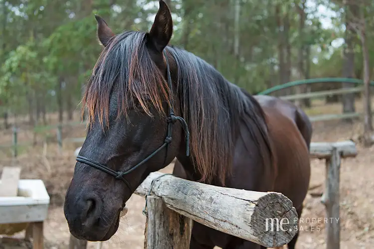 Second view of Homely land listing, 1179 Dayboro Road, Whiteside QLD 4503