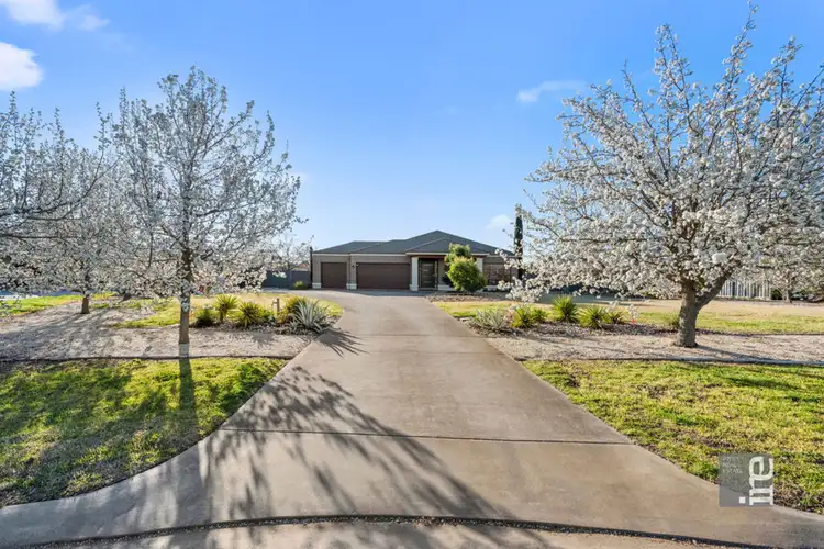 Fifth view of Homely house listing, 42 Woodland Grove, Waldara VIC 3678