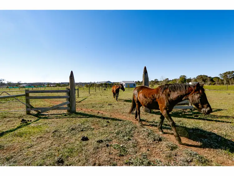 Sixth view of Homely land listing, 73-77 Forbes Street, Briagolong VIC 3860