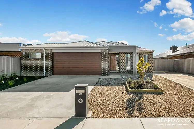 Main view of Homely house listing, 29 Limousin Court, Ascot VIC 3551