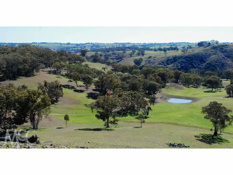 'Boree View' 776 Boree Lane, Orange NSW 2800