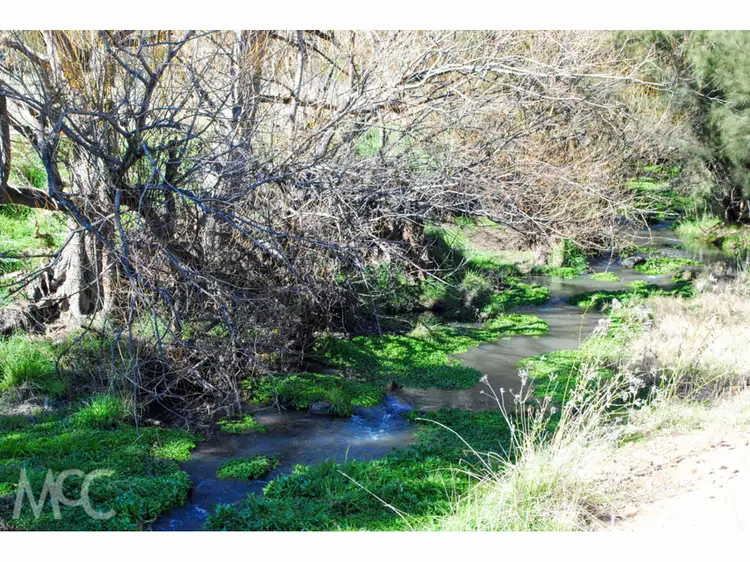 Second view of Homely rural property listing, 'Boree View' 776 Boree Lane, Orange NSW 2800