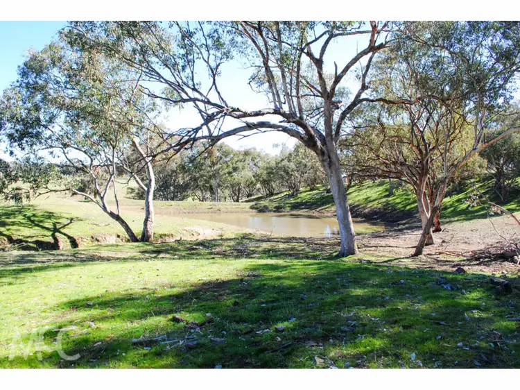Third view of Homely rural property listing, 'Boree View' 776 Boree Lane, Orange NSW 2800