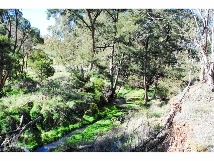 Fourth view of Homely rural property listing, 'Boree View' 776 Boree Lane, Orange NSW 2800