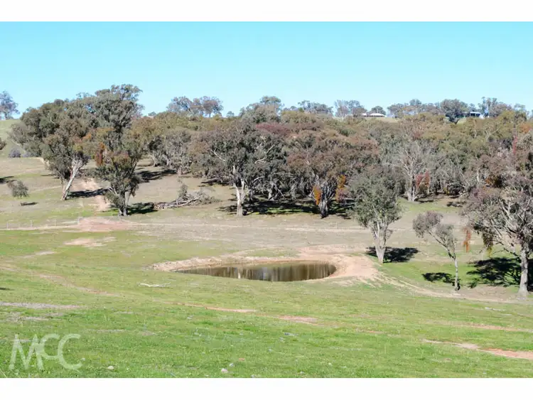 Seventh view of Homely rural property listing, 'Boree View' 776 Boree Lane, Orange NSW 2800