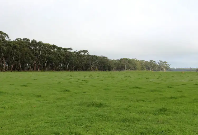 Main view of Homely rural property listing, 171 Horans Road, Carpendeit VIC 3260