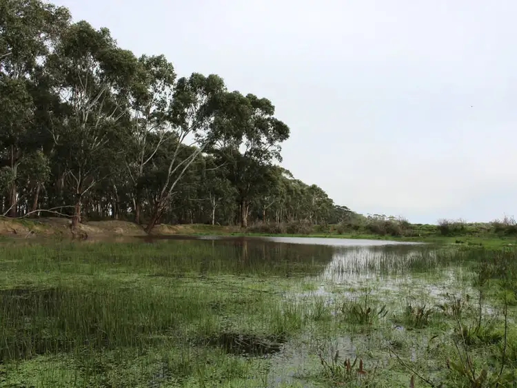 Third view of Homely rural property listing, 171 Horans Road, Carpendeit VIC 3260