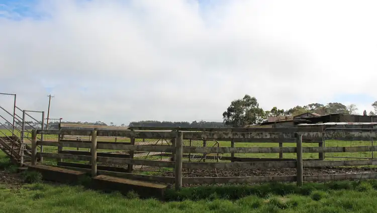 Fourth view of Homely rural property listing, 171 Horans Road, Carpendeit VIC 3260
