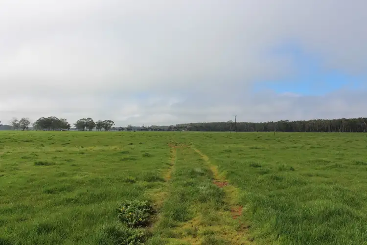 Fifth view of Homely rural property listing, 171 Horans Road, Carpendeit VIC 3260