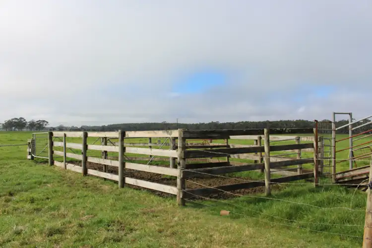 Sixth view of Homely rural property listing, 171 Horans Road, Carpendeit VIC 3260