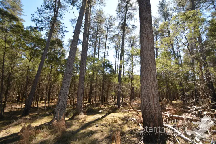 LOT 221 Sunrise Road, Sugarloaf QLD 4380