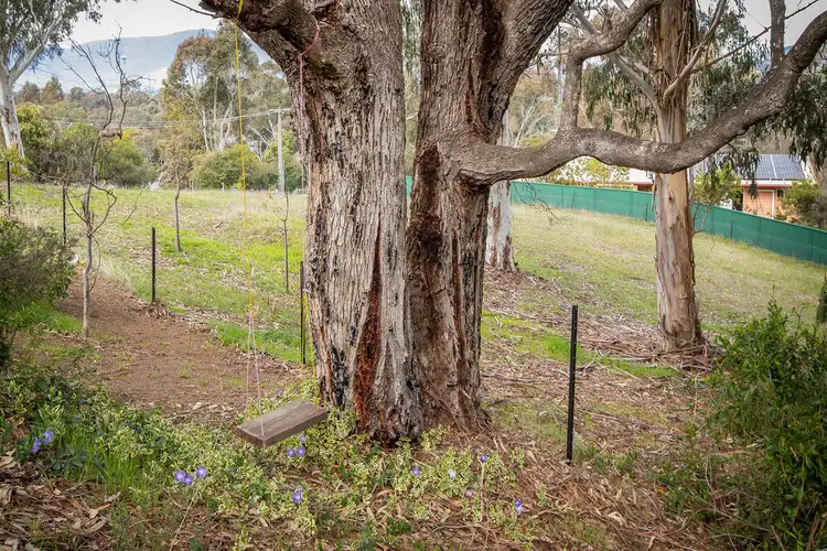 Third view of Homely house listing, 12 Hobbs Close, Yackandandah VIC 3749