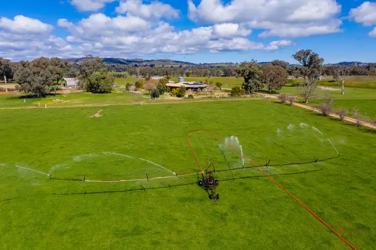 Sixth view of Homely rural property listing, 267 Back Springhurst Road, Chiltern Valley VIC 3683