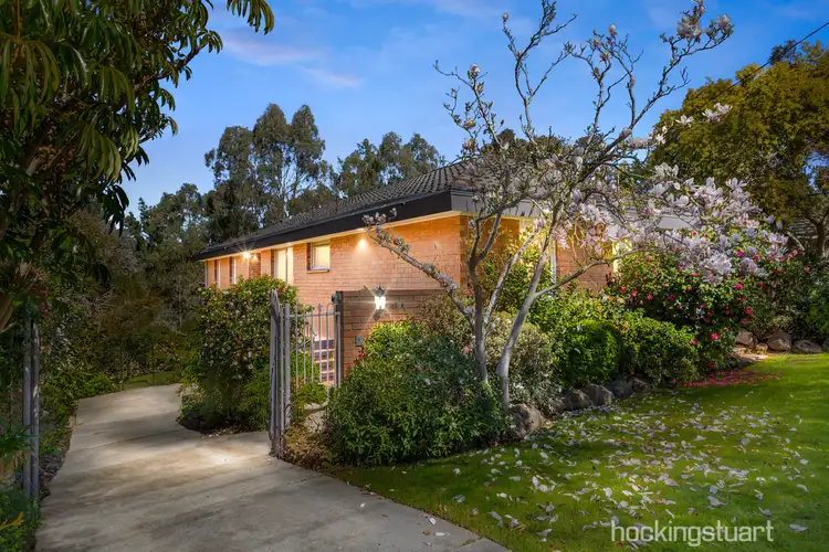 8 Morton Street, Box Hill South VIC 3128