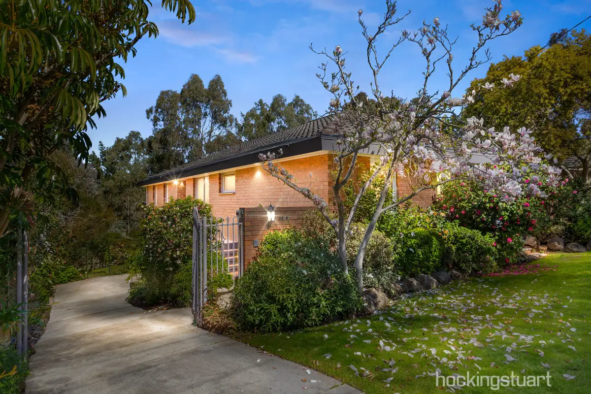 Main view of Homely house listing, 8 Morton Street, Box Hill South VIC 3128