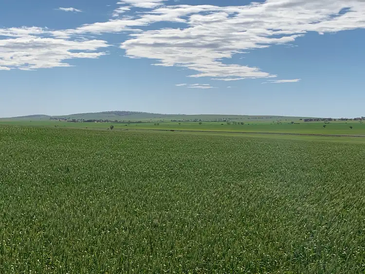 Fourth view of Homely rural property listing, Cnr Salt Lake Road & Bumbunga Road, Snowtown SA 5520