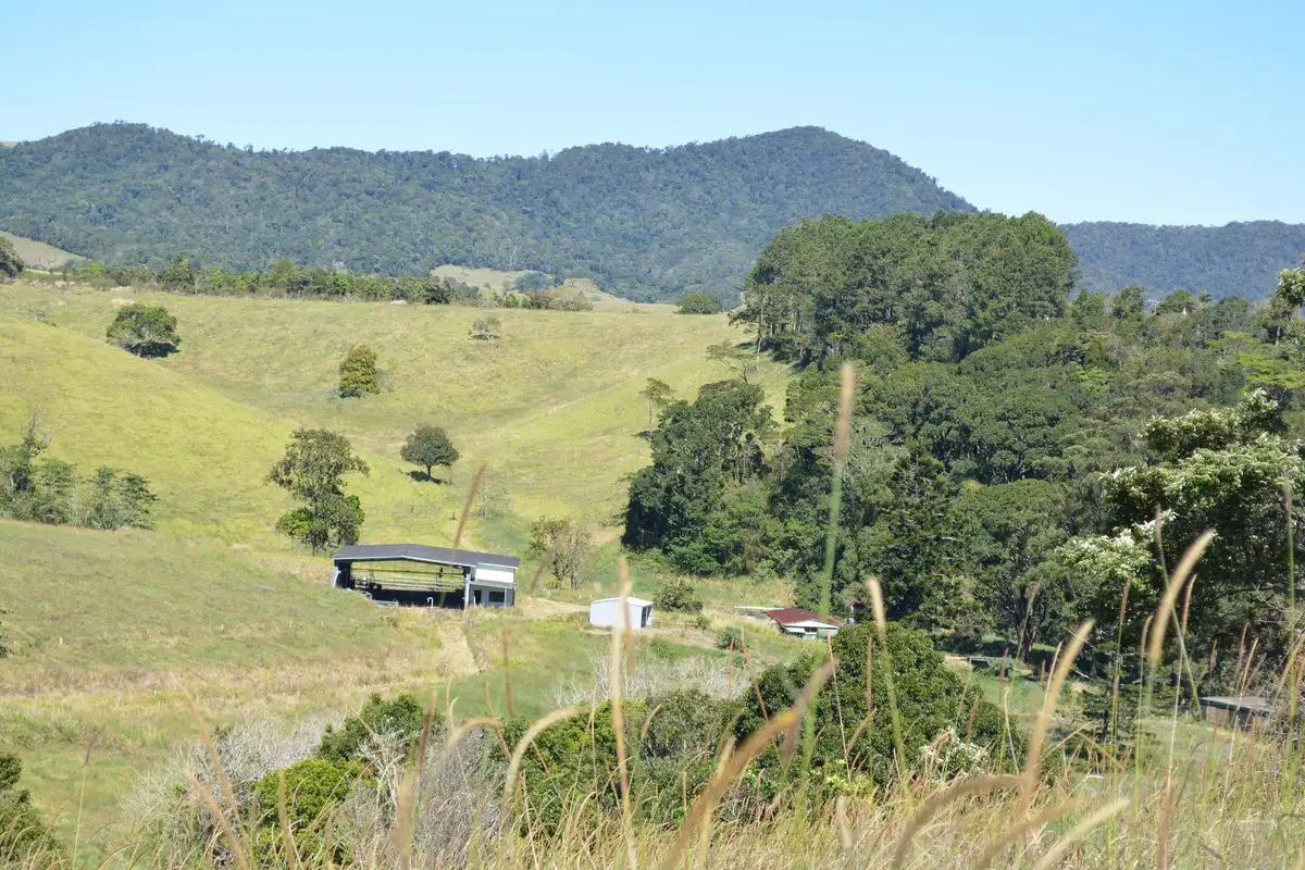 Main view of Homely rural property listing, F1649 164 Moregatta Road, Millaa Millaa QLD 4886