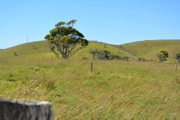 Third view of Homely rural property listing, F1649 164 Moregatta Road, Millaa Millaa QLD 4886
