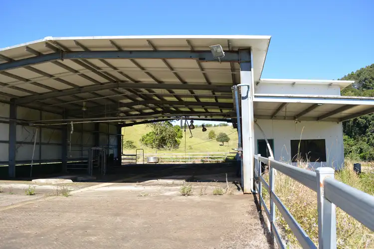 Fourth view of Homely rural property listing, F1649 164 Moregatta Road, Millaa Millaa QLD 4886