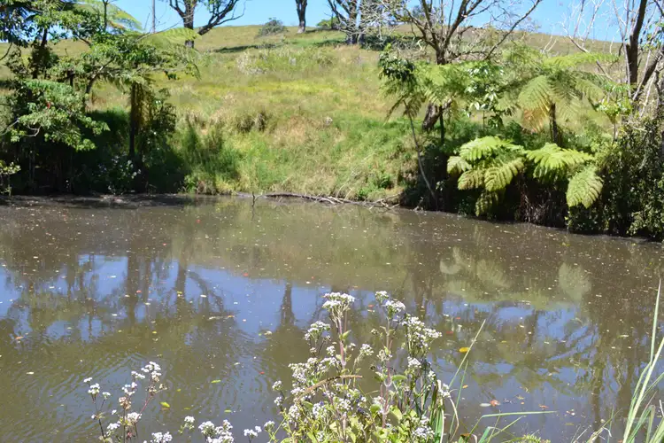 Fifth view of Homely rural property listing, F1649 164 Moregatta Road, Millaa Millaa QLD 4886