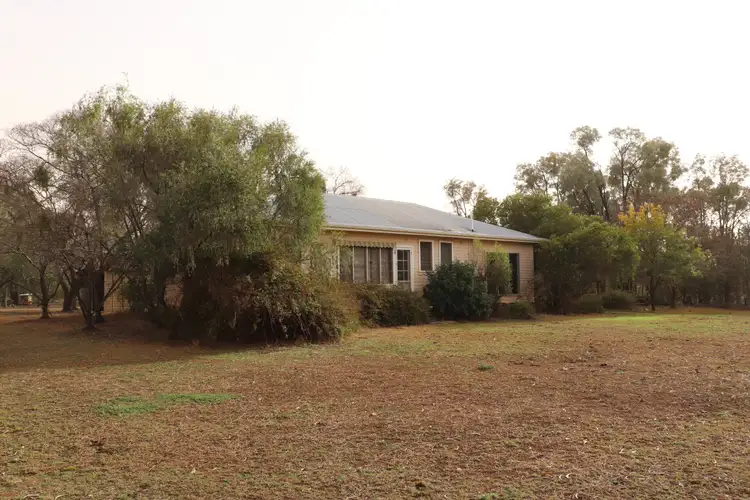 Third view of Homely rural property listing, 15044 Gore Highway "Carinya", Goondiwindi QLD 4390