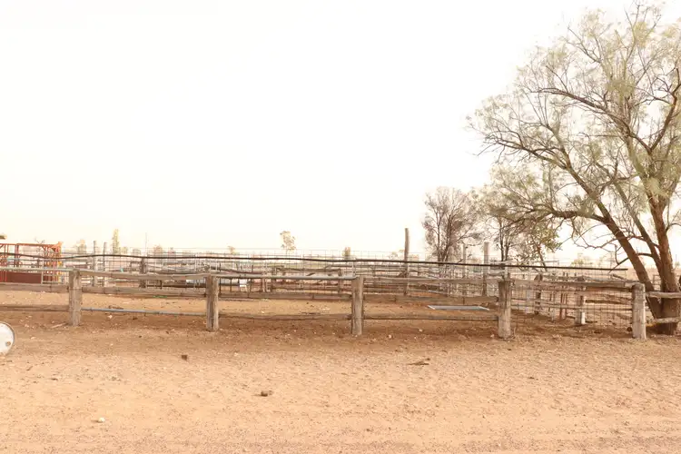 Fifth view of Homely rural property listing, 15044 Gore Highway "Carinya", Goondiwindi QLD 4390