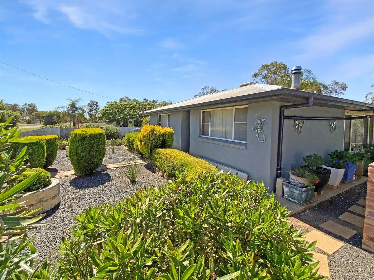 Main view of Homely house listing, 49 Pine Street, Curlewis NSW 2381