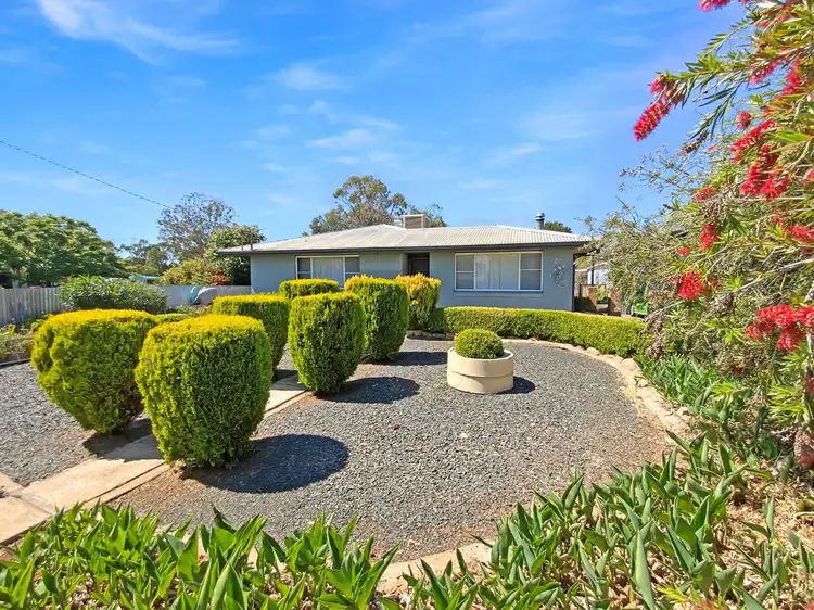 Sixth view of Homely house listing, 49 Pine Street, Curlewis NSW 2381
