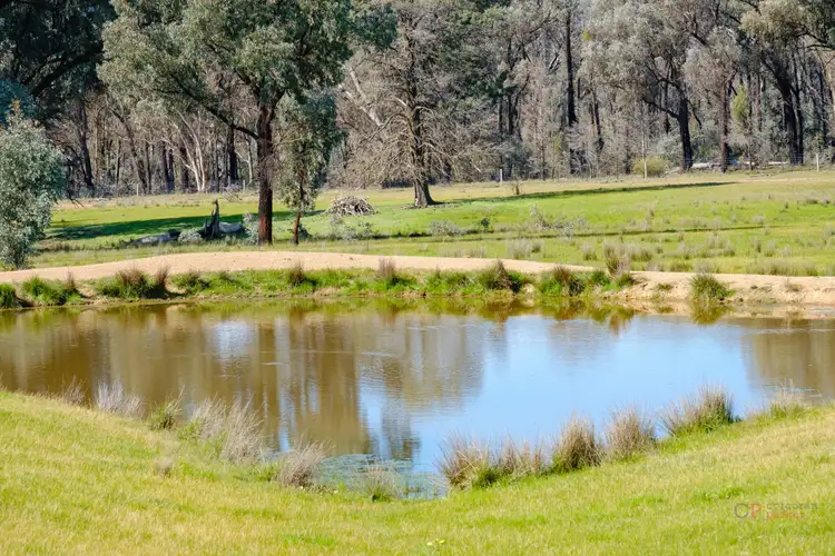 Third view of Homely rural property listing, Chiltern-Yackandandah Road, Indigo Valley VIC 3688