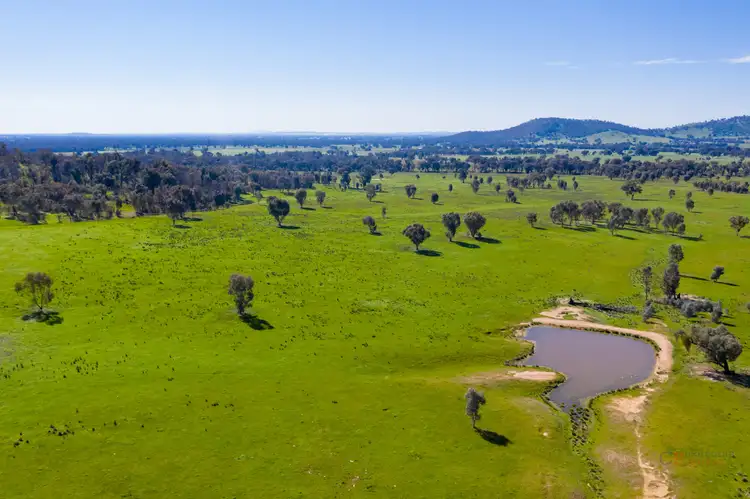 Seventh view of Homely rural property listing, Chiltern-Yackandandah Road, Indigo Valley VIC 3688