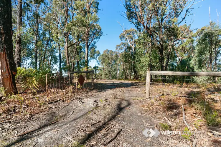 Second view of Homely land listing, 147 Old Callignee Road, Callignee VIC 3844